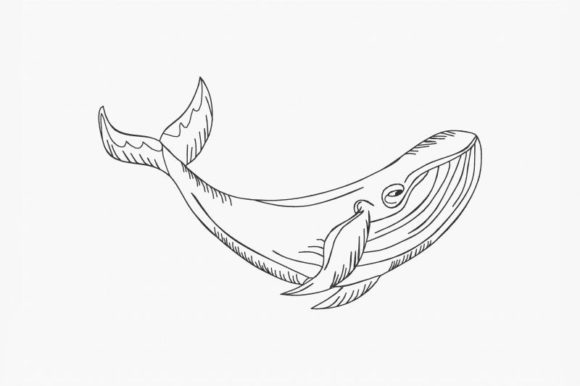 Blue Whale Line Art: A Seasonal Embroidery Review