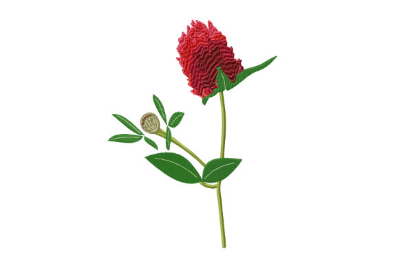 Red Clover Flower Embroidery Design Review